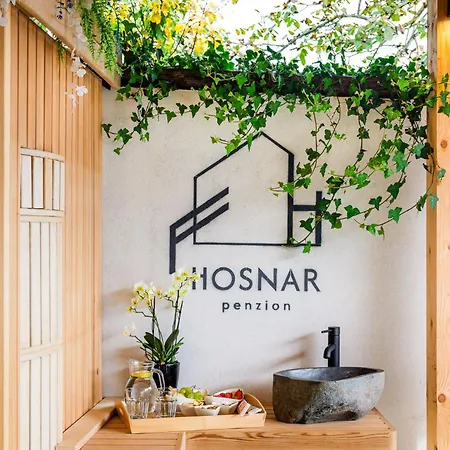 Hosnar, Apartma Lev Appartement Bovec