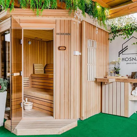 Appartement Hosnar, Apartma Lev *